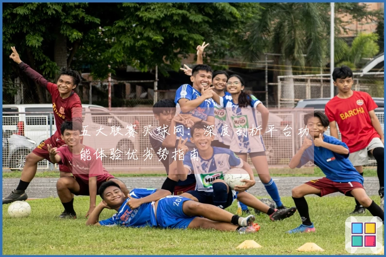 五大联赛买球网：深度剖析平台功能体验优劣势指南