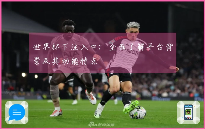 世界杯下注入口：全面了解平台背景及其功能特点