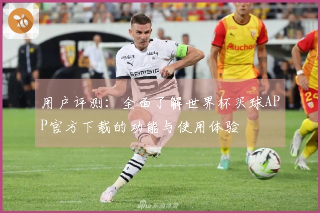 用户评测：全面了解世界杯买球APP官方下载的功能与使用体验
