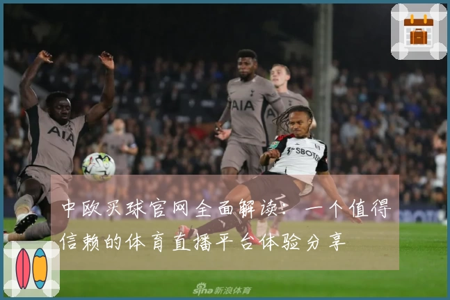 中欧买球官网全面解读：一个值得信赖的体育直播平台体验分享