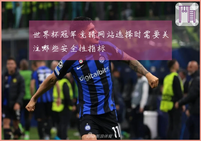 世界杯冠军竞猜网站选择时需要关注哪些安全性指标