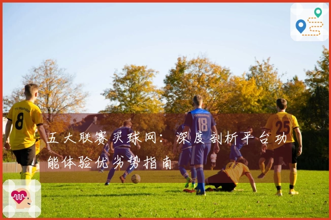 五大联赛买球网：深度剖析平台功能体验优劣势指南