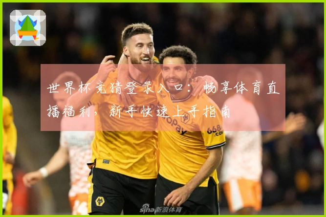 世界杯竞猜登录入口：畅享体育直播福利，新手快速上手指南